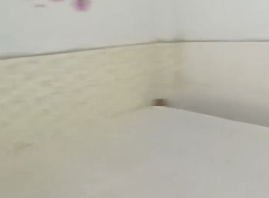 黄编村(番禺区市桥街道黄编村梨园大道南7号) 2室1厅1卫