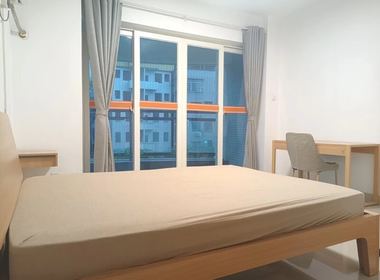 石桥新村 1室0厅1卫