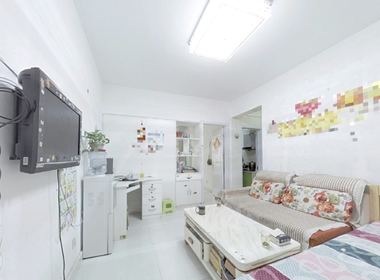 石桥新村 1室1厅1卫