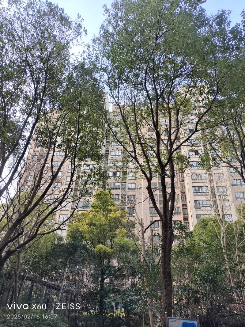 绿洲香润苑10200656周边环境图15