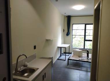 未来已来复旦创智社 1室0厅1卫