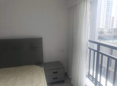 德信市心府（雅颂市心府） 