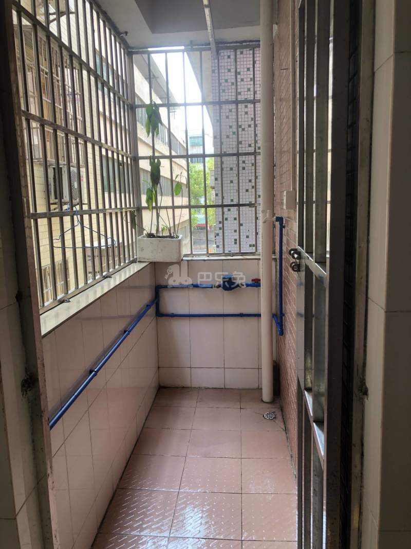 东约新村10236195周边环境图0