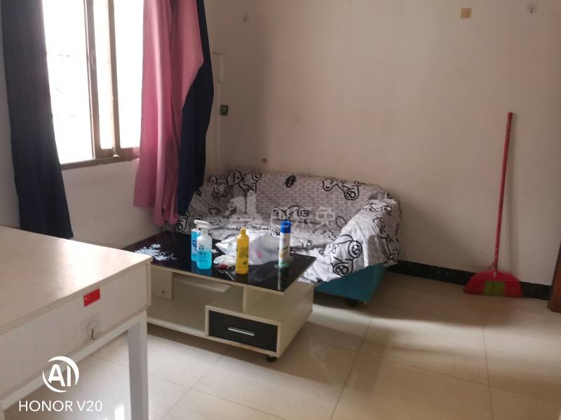 东塱村10238495客厅图0