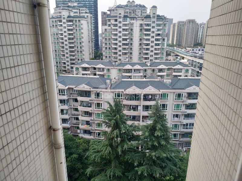 新梅共和城1024368周边环境图17