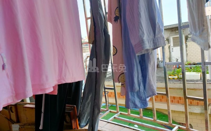 塘头村10287091周边环境图1