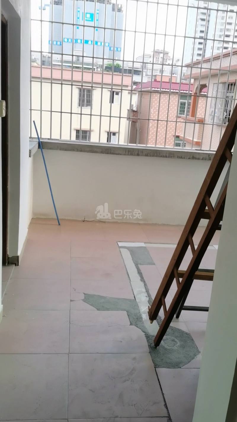 莲塘村（花都）10287101周边环境图2