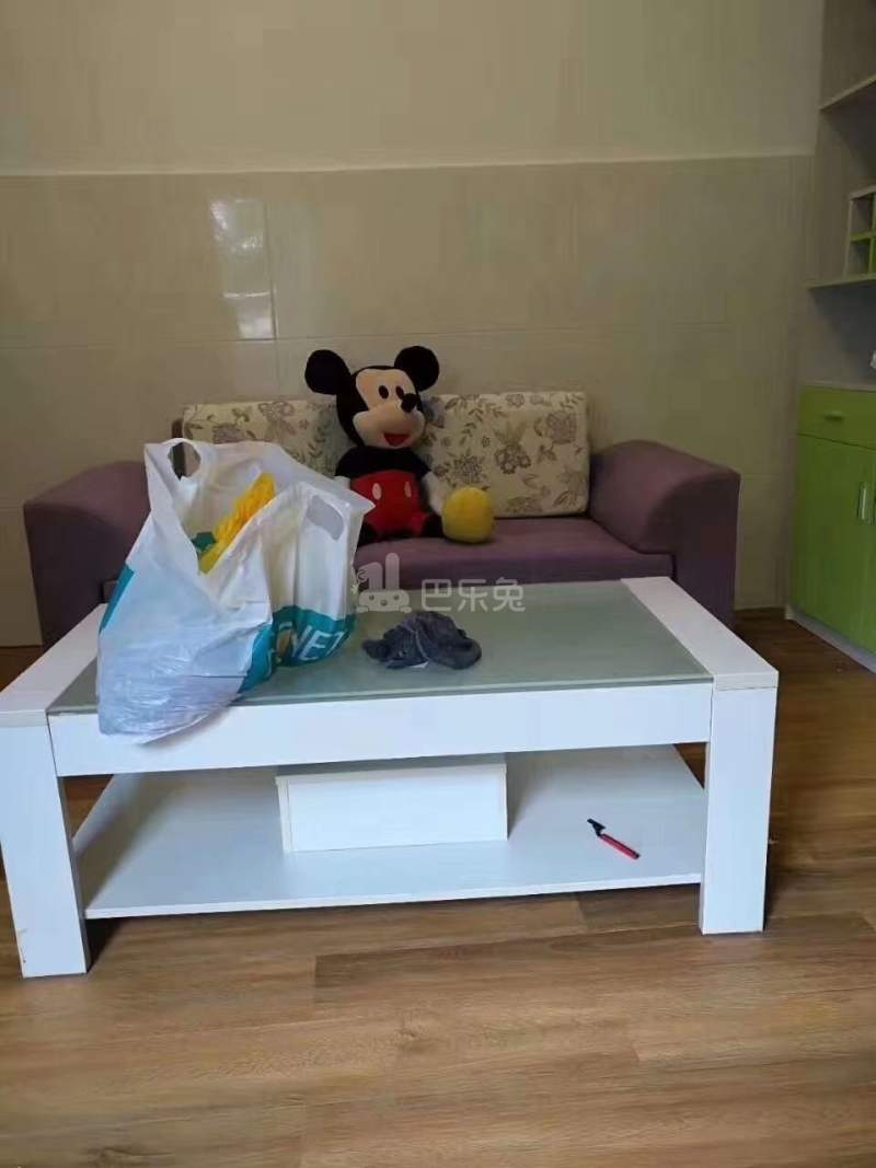 丹山村10288293客厅图0