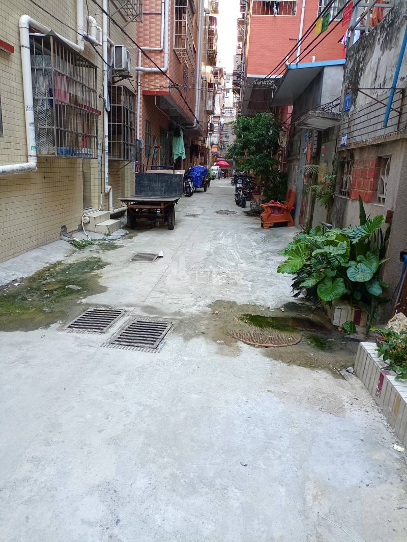 花苑小区10294107周边环境图1