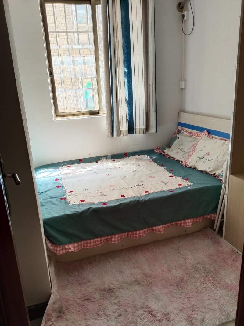 招村新街10294278卧室图1