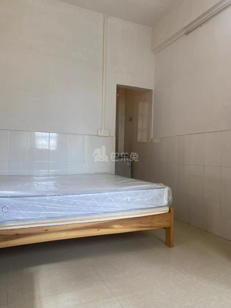 招村新街10313952卧室图0