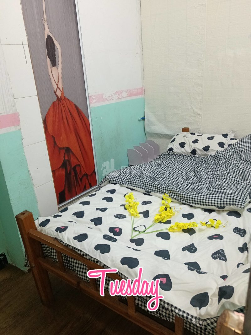 沙涌小区10314173卧室图0