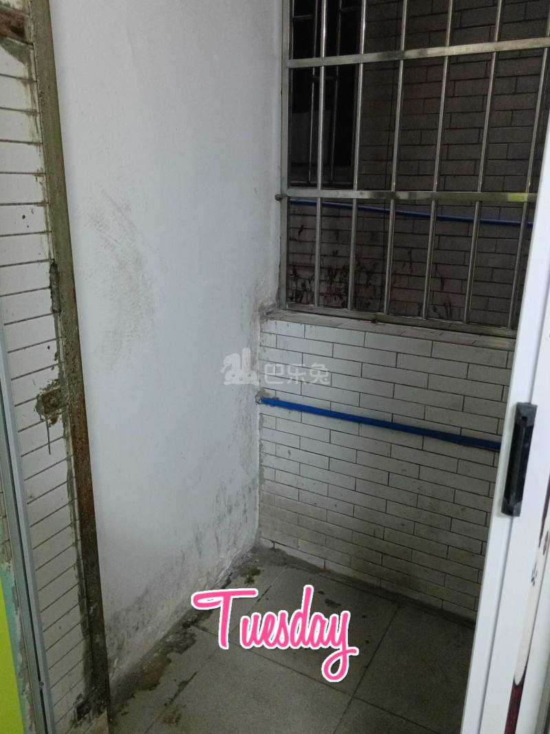 沙涌小区10314173周边环境图2