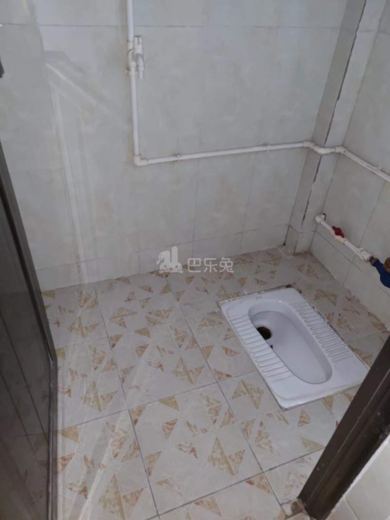 招村新街10314236周边环境图6