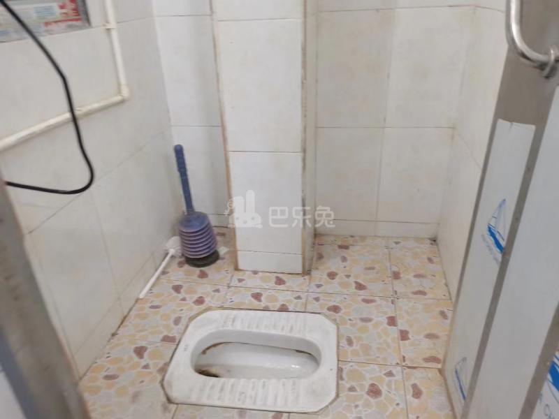 沙洛村10332252卫生间图2