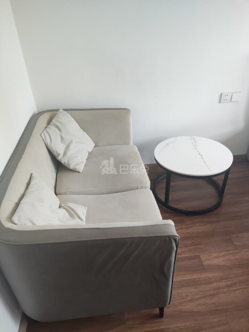 环翼城10339993客厅图5