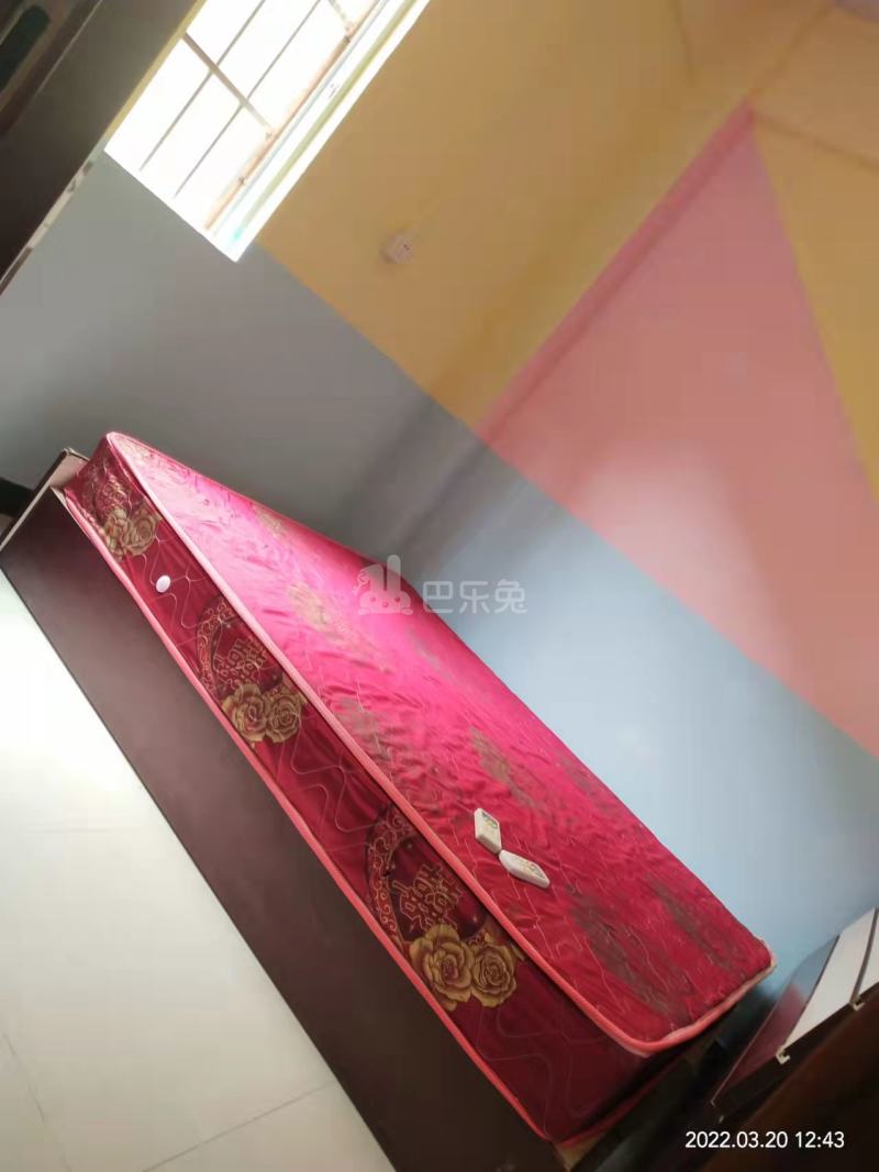 招村新街10340450周边环境图6