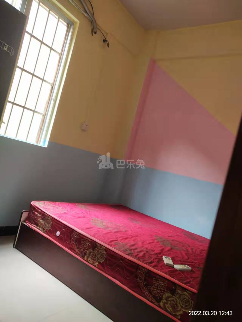 招村新街10340450周边环境图5