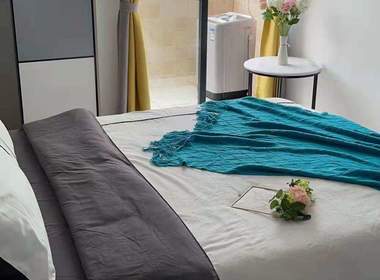 甘竹村 1室0厅1卫