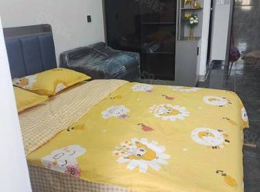 甘竹村 1室0厅1卫