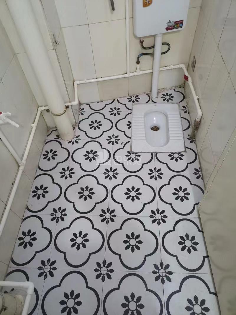 东镜村10344685卫生间图0