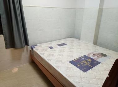 东镜村 1室1厅1卫