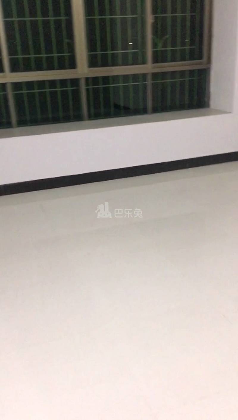 罗仙村10345838周边环境图0