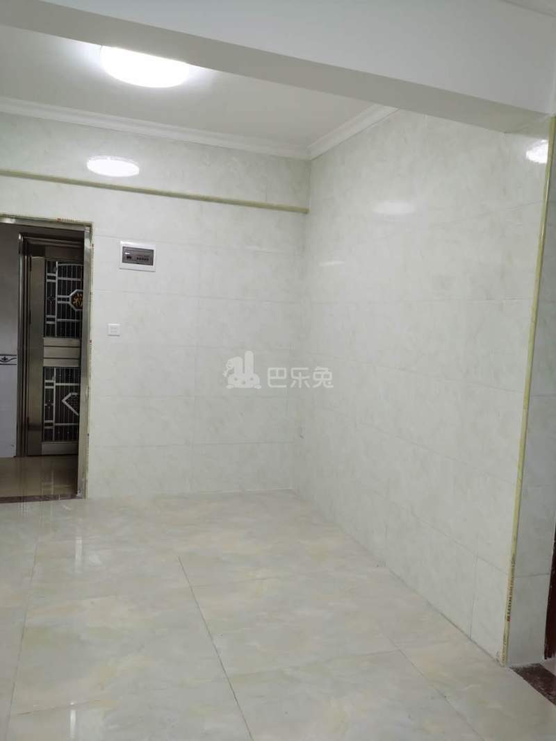 东平村10354443周边环境图1