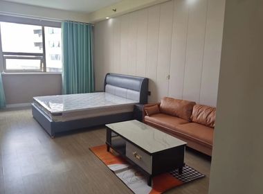 中寰广场 1室1厅1卫