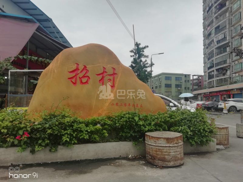 招村新街10355775周边环境图6