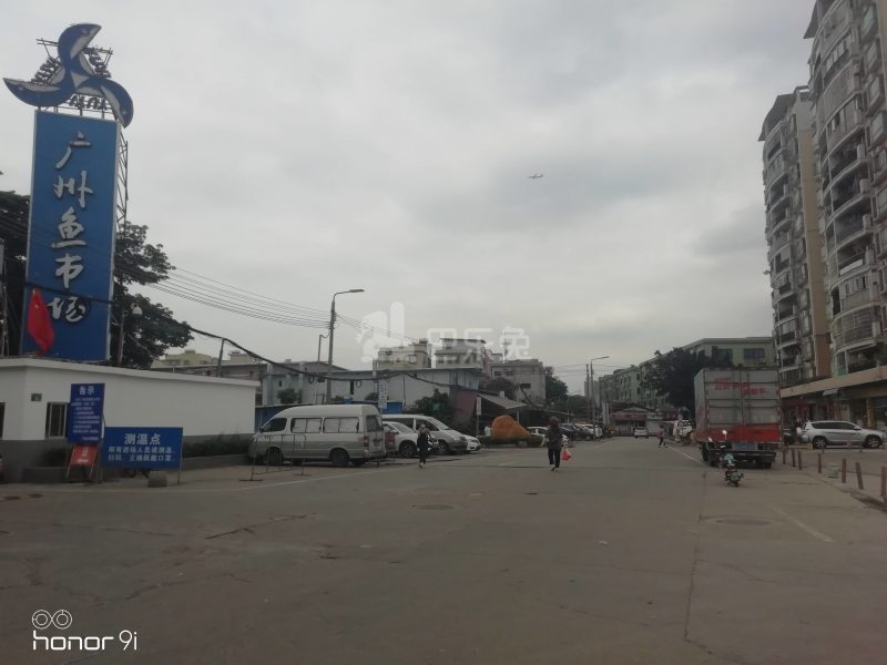 招村新街10355775周边环境图7