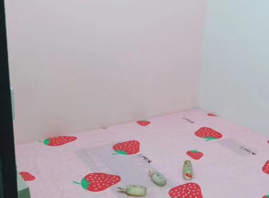 沙头新村 2室1厅1卫