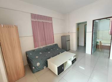 黄编村(番禺区市桥街道黄编村梨园大道南7号) 1室1厅1卫