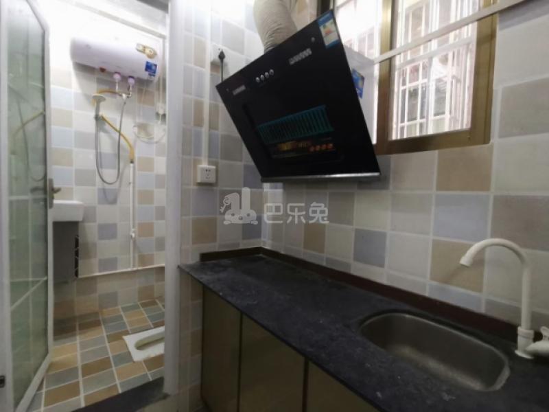 东平村10361091周边环境图1