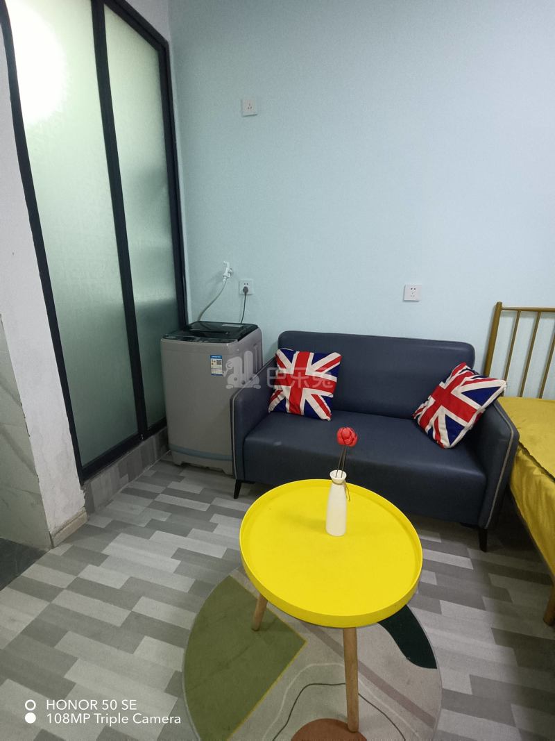 东平村10363882客厅图3