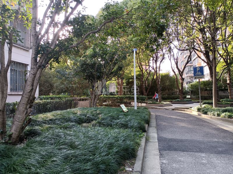 金桥新城1036091周边环境图20