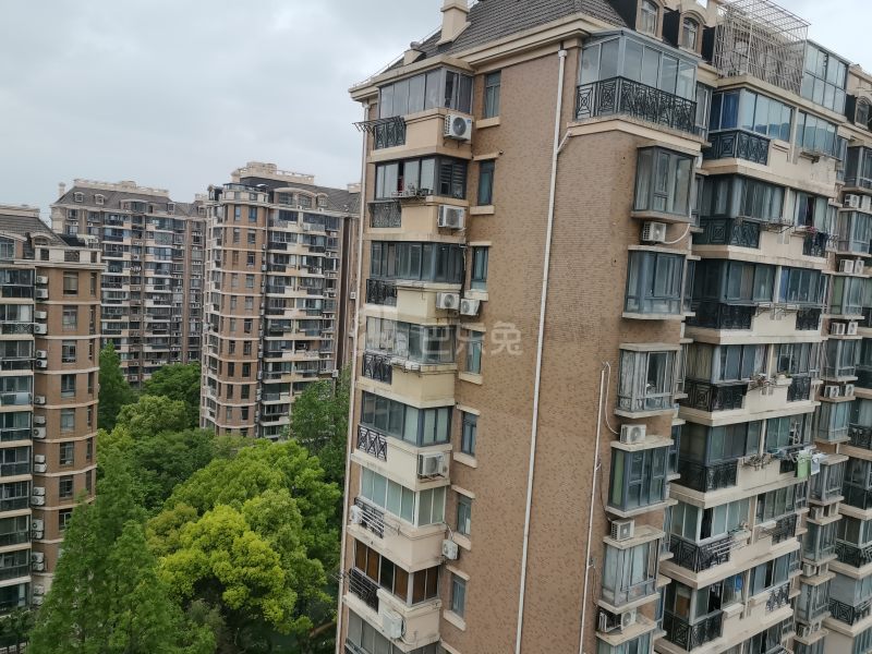 金桥新城金舍苑10375394周边环境图19