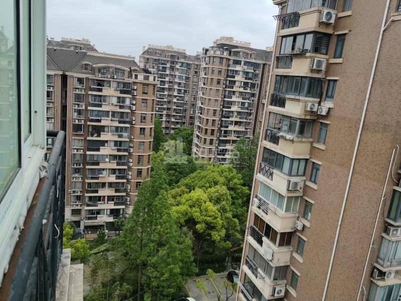 金桥新城金舍苑10375394周边环境图18