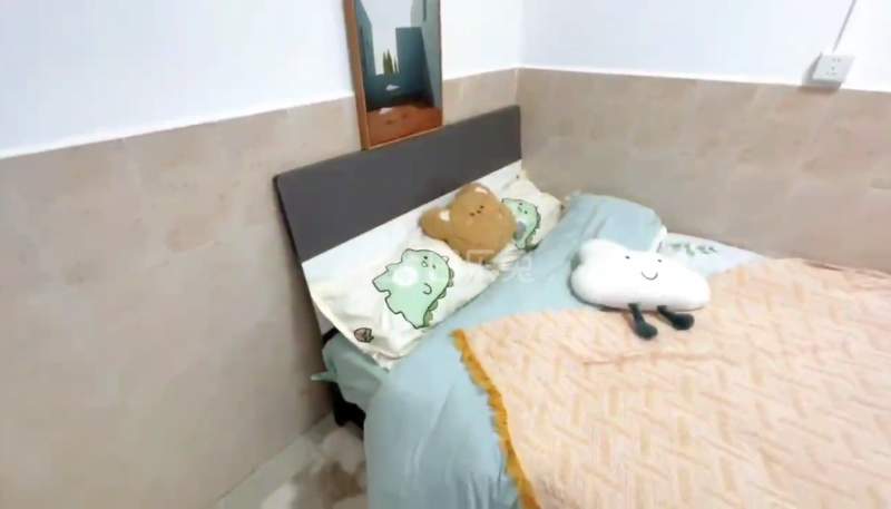 丹山村10375558卧室图0