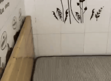 黄编村(番禺区市桥街道黄编村梨园大道南7号) 1室0厅1卫