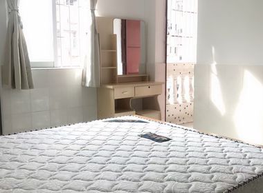 汀沙镇 1室0厅1卫