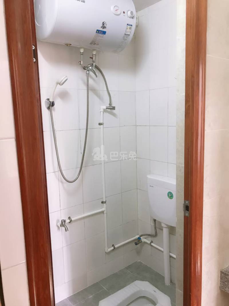 丹山村10387001卫生间图2