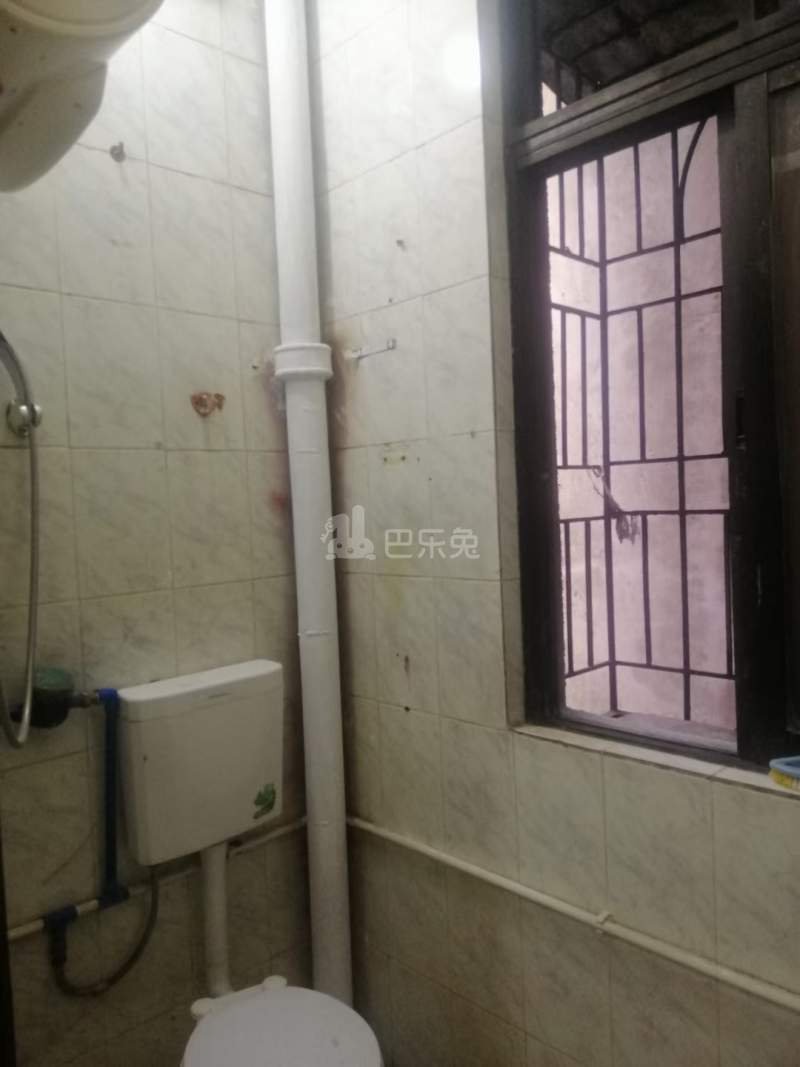 大策小区10396965卫生间图1