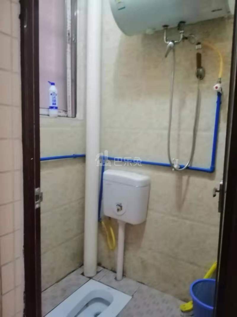 大策小区10397041卫生间图1