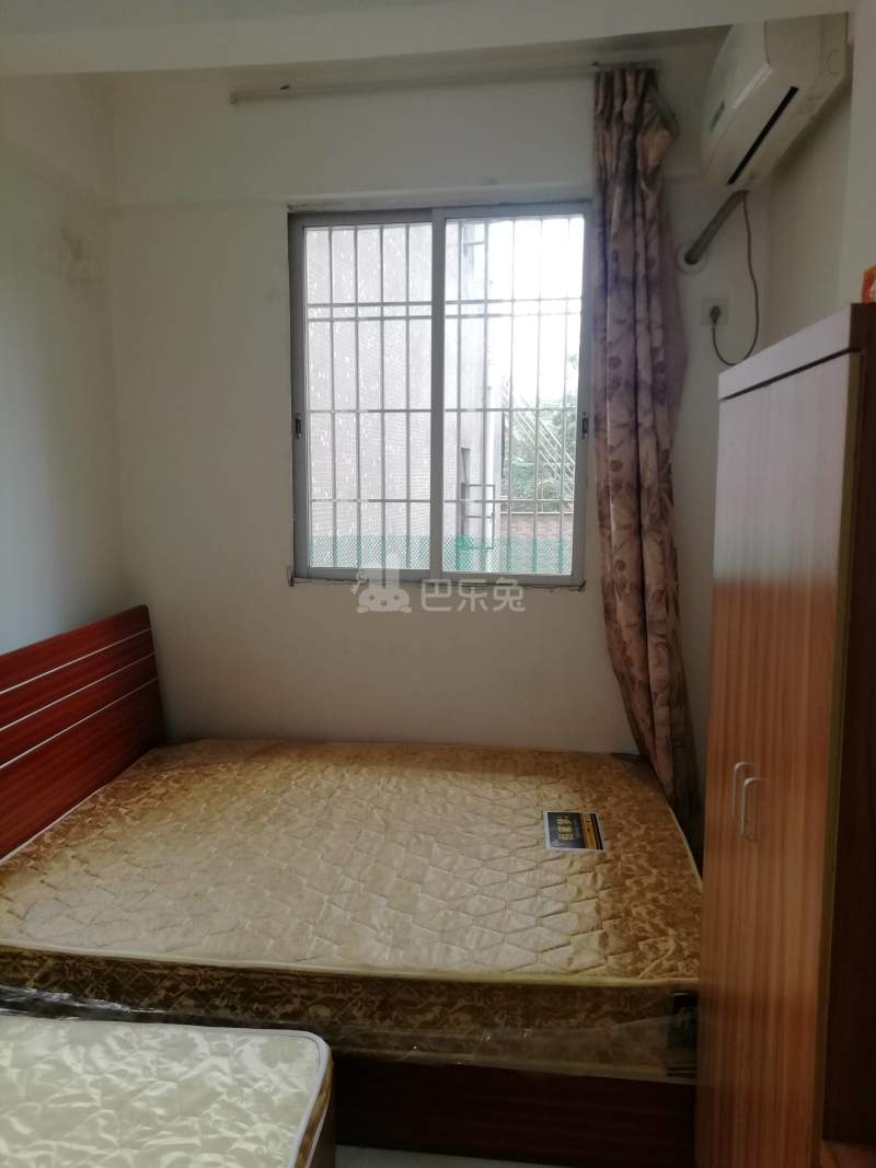 招村新街10397596卧室图0