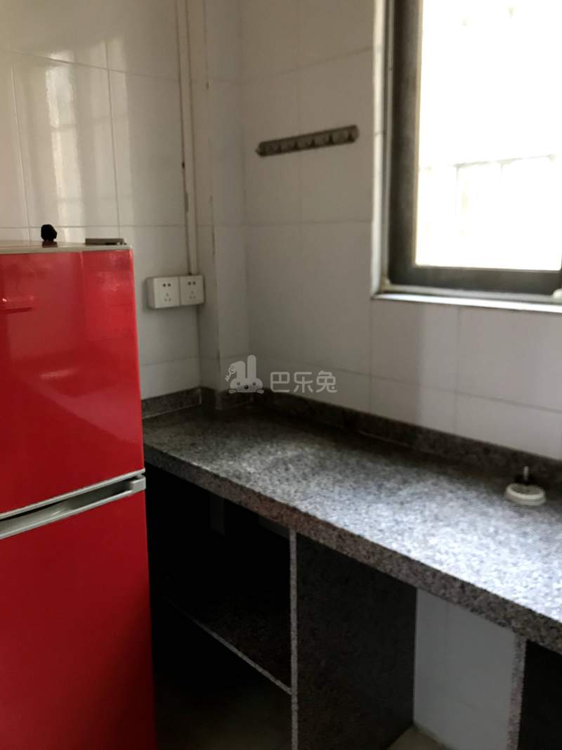 菊树村10399504周边环境图3