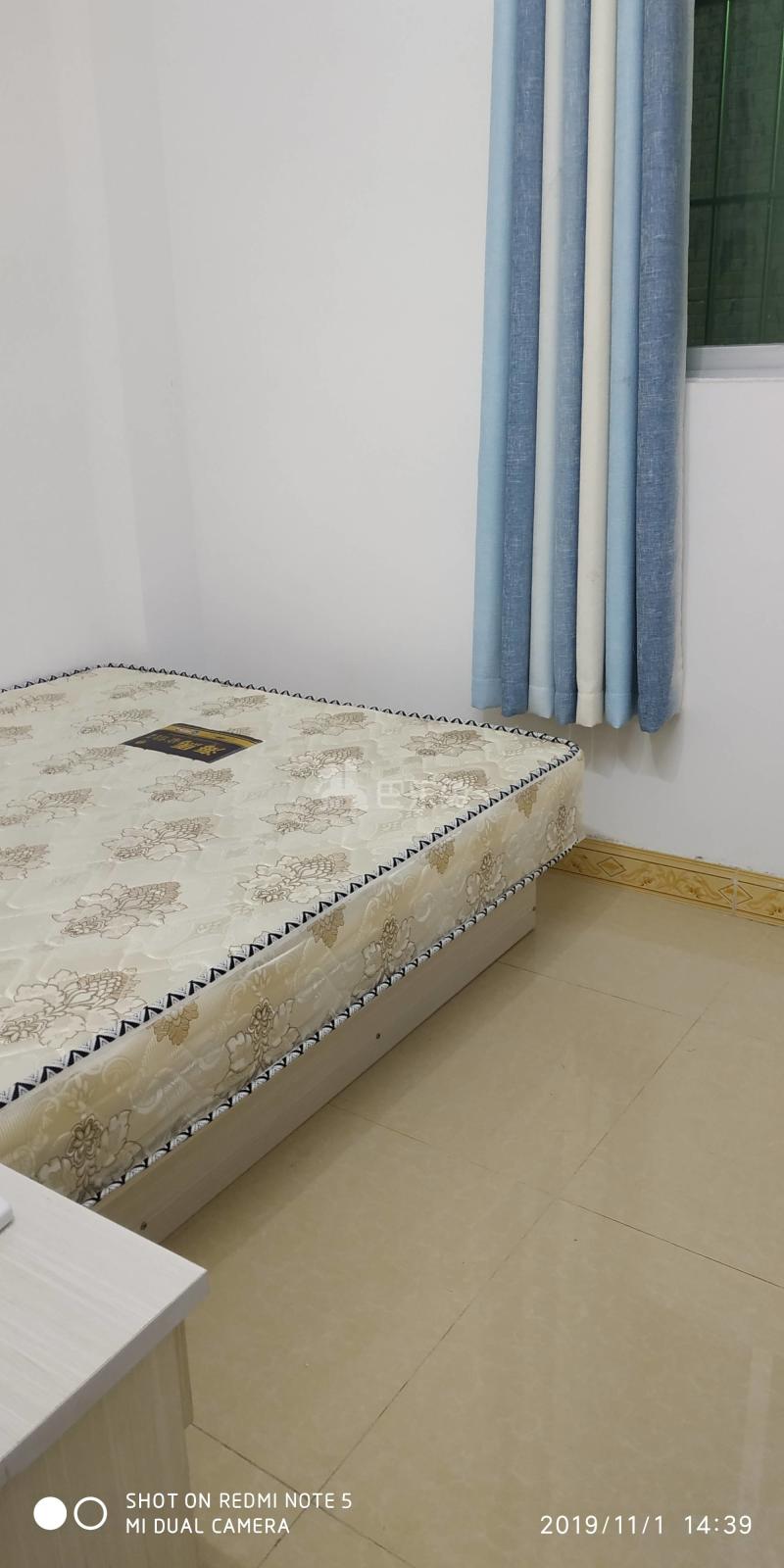 菊树村10399563周边环境图4