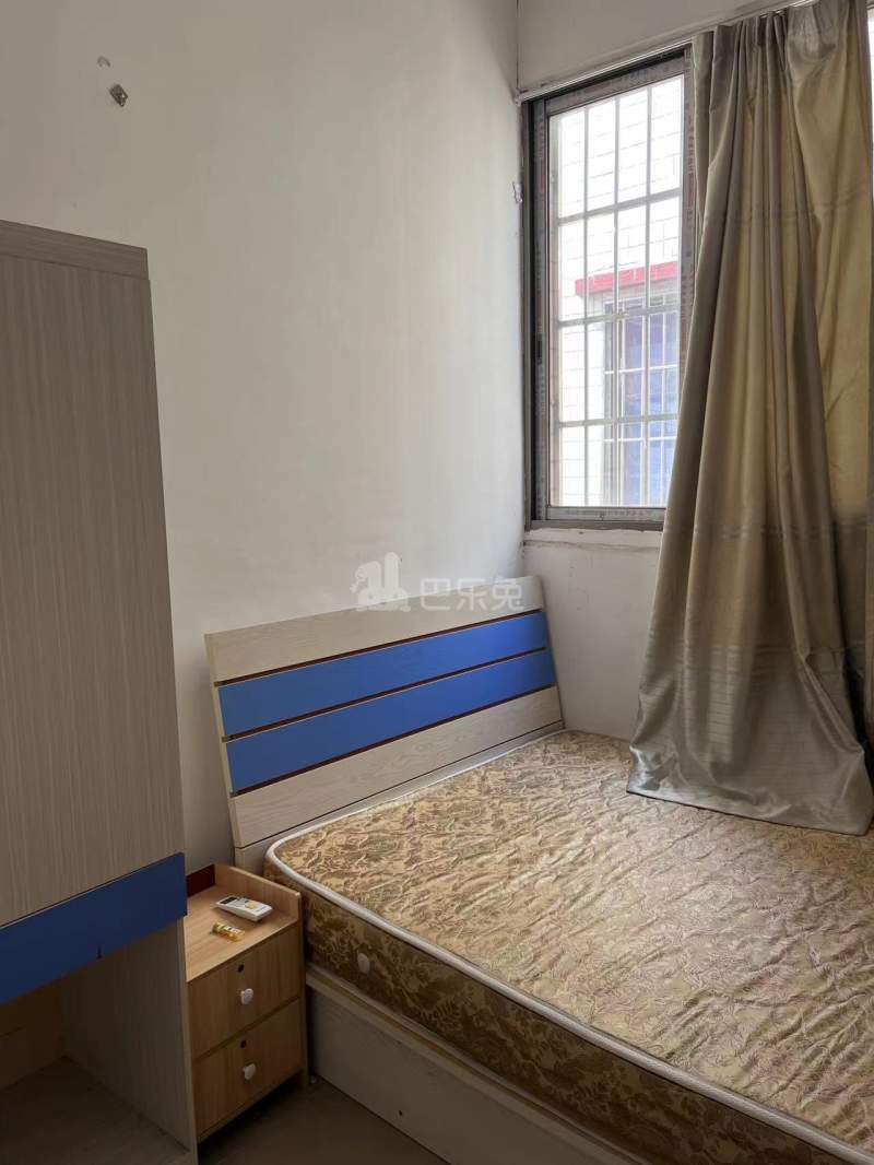 招村新街10401872周边环境图2