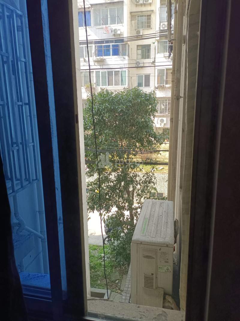 金台三居（金桥路1504弄）10402773卧室窗户图6