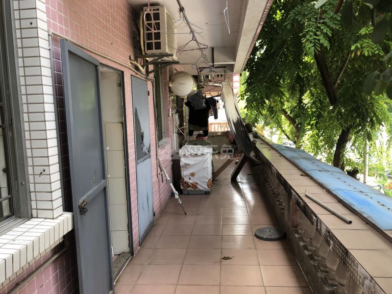 罗岗村（白云区）10574582周边环境图1